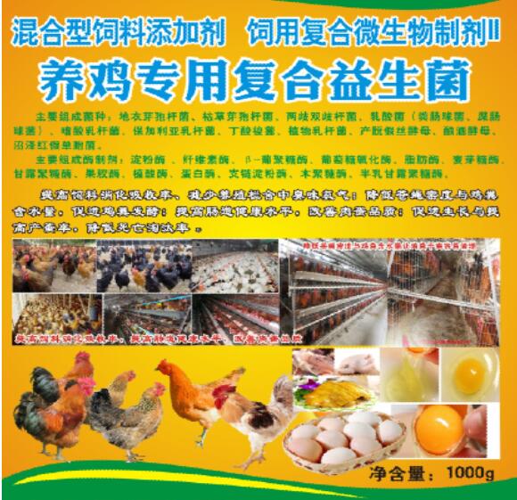 养鸡专用复合益生菌――鸡场生态健康养殖专业益生微生物制剂产品，降低料耗、氨气臭味，减少发病和死亡率，改善肉蛋品质