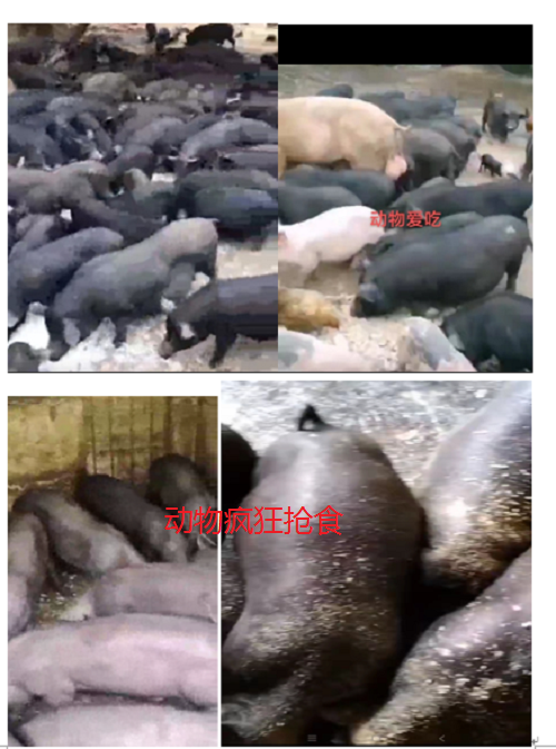 微信图片_20220924103942.png