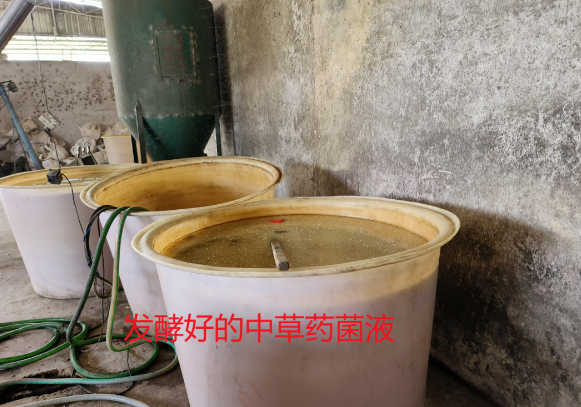 QQ图片20250305125016.png