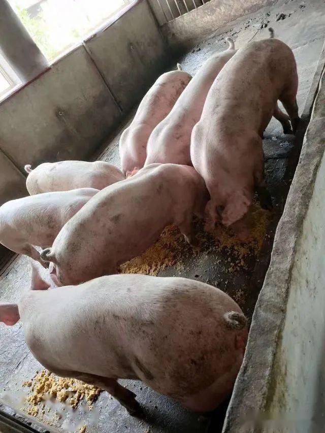 微信图片_20250314101053.jpg