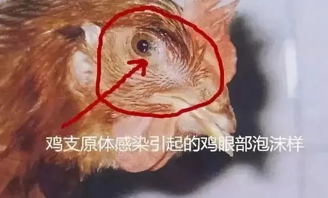 微信图片_20250613105529.jpg