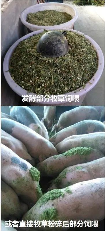 QQ图片20250529123228.jpg QQ图片20250529123228.jpg