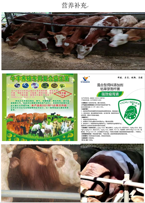微信图片_20230926152101.png