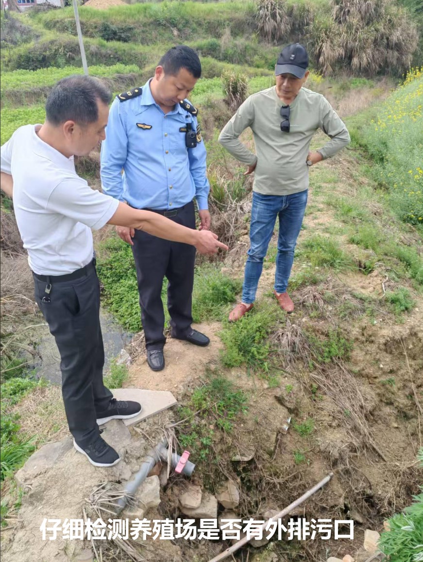 仔细检测养殖场是否有外排污口.jpg
