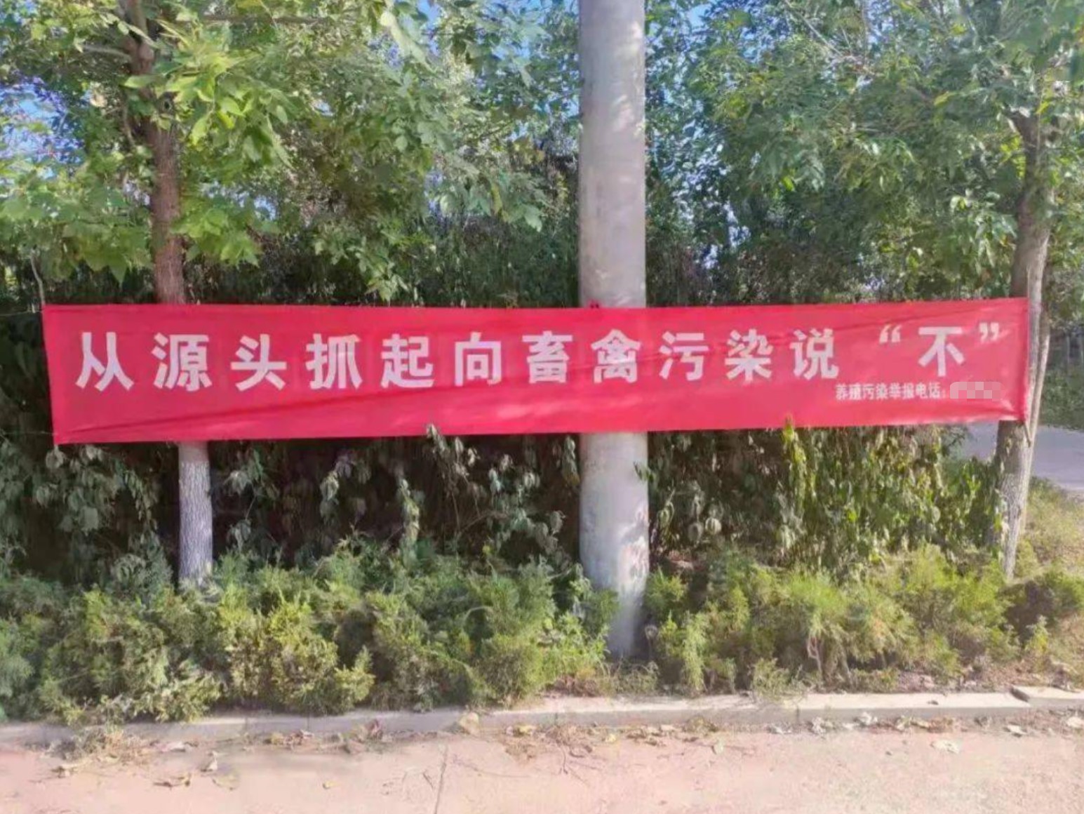 畜禽养殖污染治理.jpg