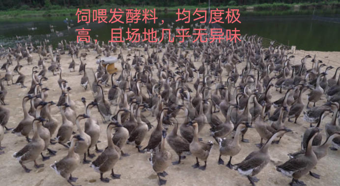 QQ图片20250807161430.png