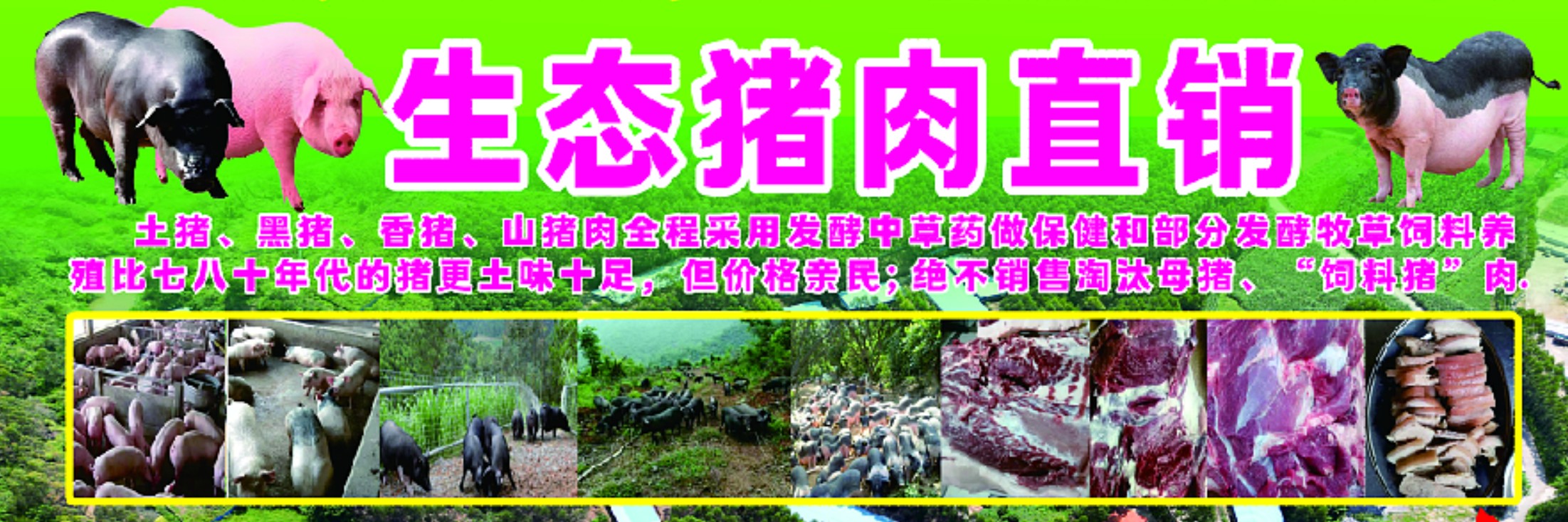 牧草猪肉2.jpg