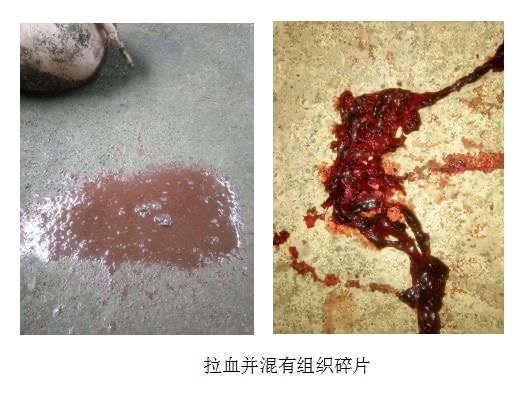 微信图片_20250820090726.jpg