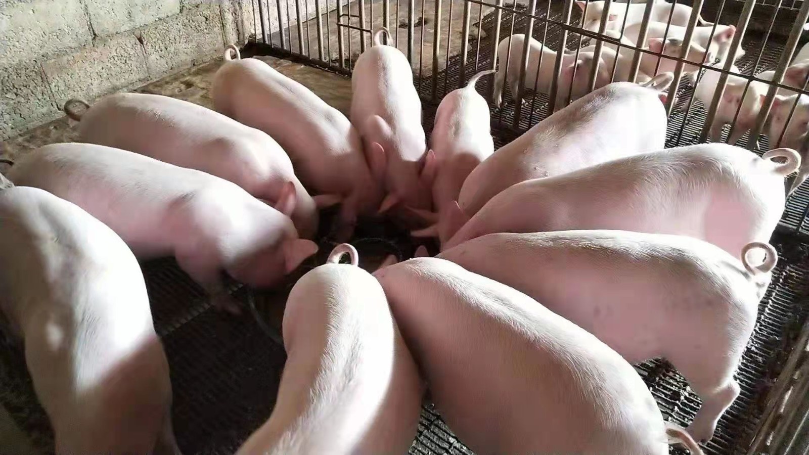 微信图片_20250827102719.jpg