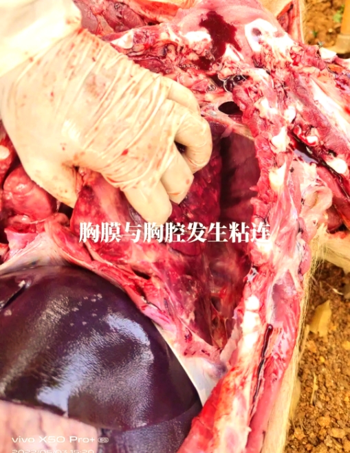 微信截图_20250909092247.jpg 微信截图_20250909092247.jpg