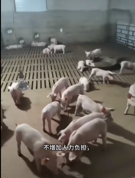 截图20250911092509.png