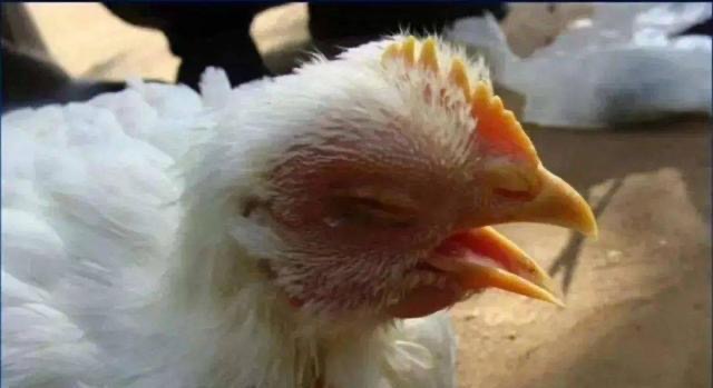 微信图片_20250929093637.jpg 微信图片_20250929093637.jpg