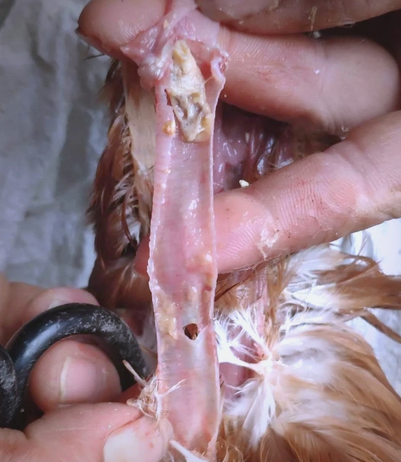 微信截图_20250929093727.jpg 微信截图_20250929093727.jpg