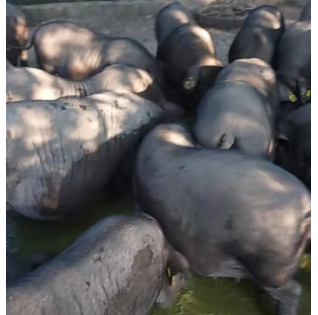 微信图片_20231013160354.png 微信图片_20231013160354.png