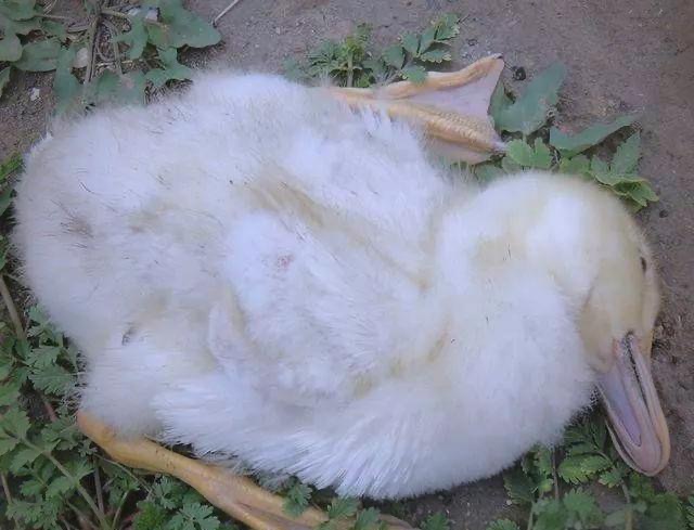 微信图片_20251106111359.jpg 微信图片_20251106111359.jpg