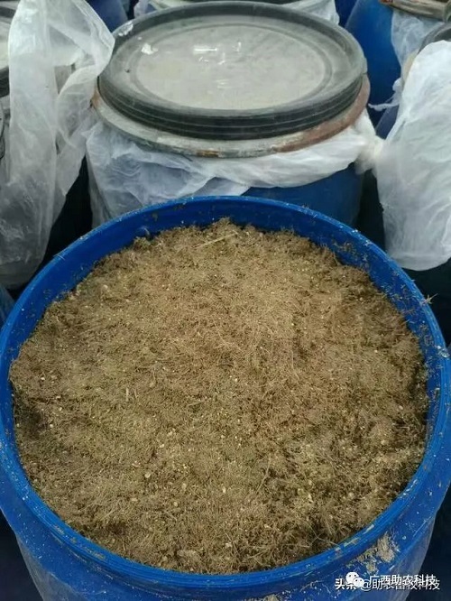 发酵.jpg 发酵.jpg