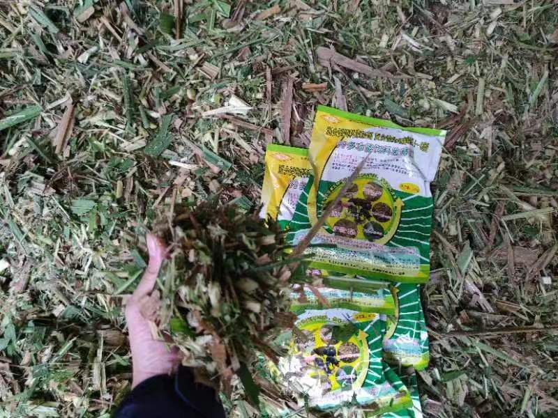 微信图片_20231229103103.jpg 微信图片_20231229103103.jpg