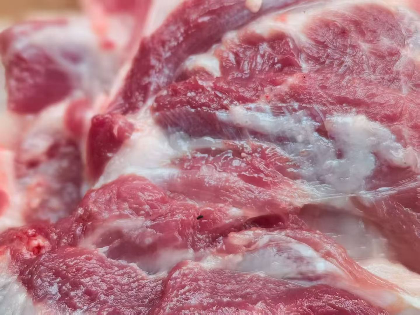 E1970C133E032529164B352520BFBC16.jpg E1970C133E032529164B352520BFBC16.jpg