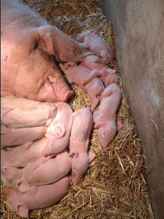 截图20251117094454.png 截图20251117094454.png