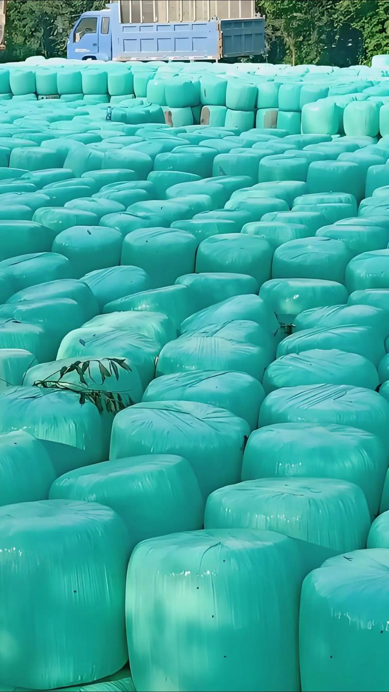 1B4B0C97C48FE9884DF02AAD935EF3A3.jpeg 1B4B0C97C48FE9884DF02AAD935EF3A3.jpeg