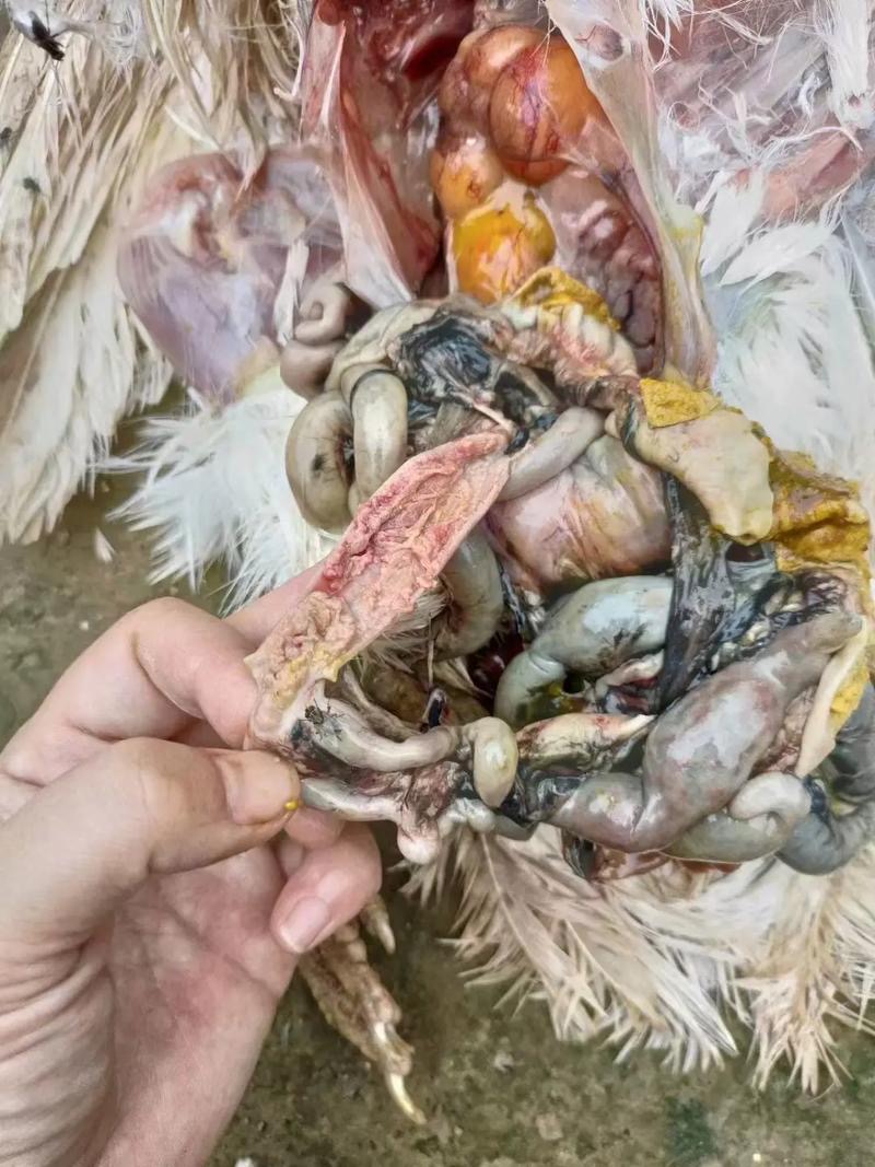 微信图片_20251126091638.jpg 微信图片_20251126091638.jpg