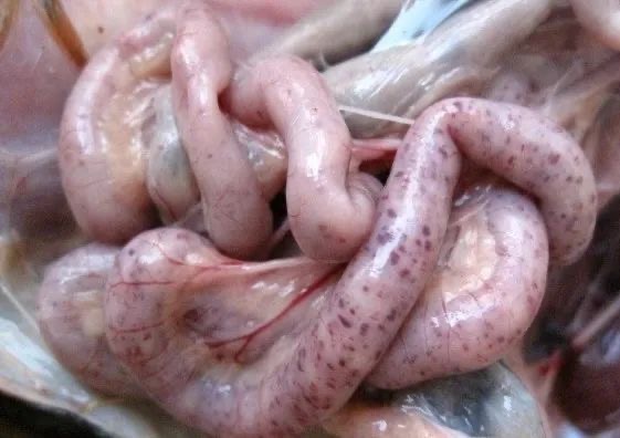 微信图片_20251208091056.jpg 微信图片_20251208091056.jpg