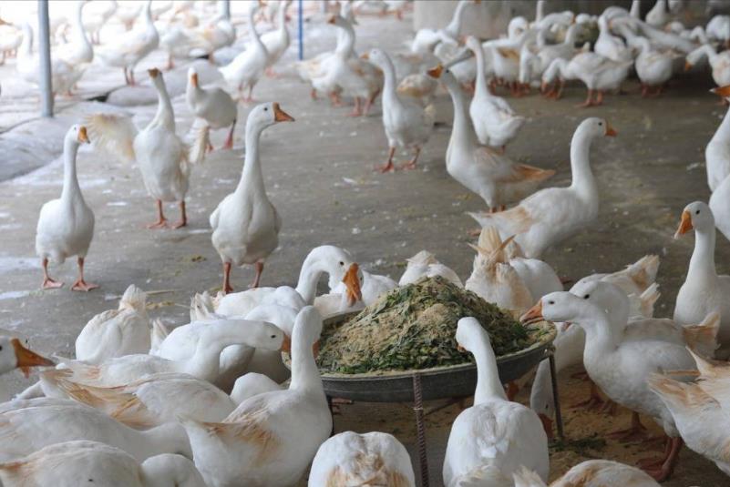 1719454405138045.jpg 1719454405138045.jpg