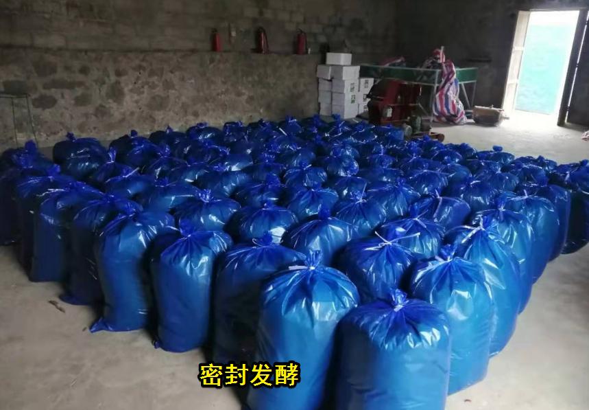 B0CA759F893C5AE947E8E59A72D6DF7D.jpg B0CA759F893C5AE947E8E59A72D6DF7D.jpg