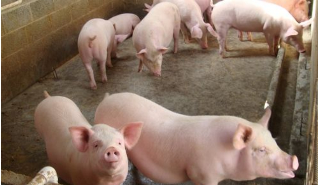 微信截图_20241126154022.png 微信截图_20241126154022.png