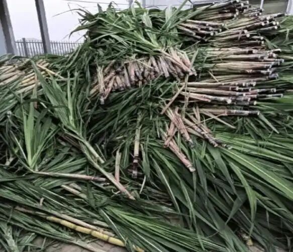 798944c54734e4671cde4907efea9aff.jpg 798944c54734e4671cde4907efea9aff.jpg