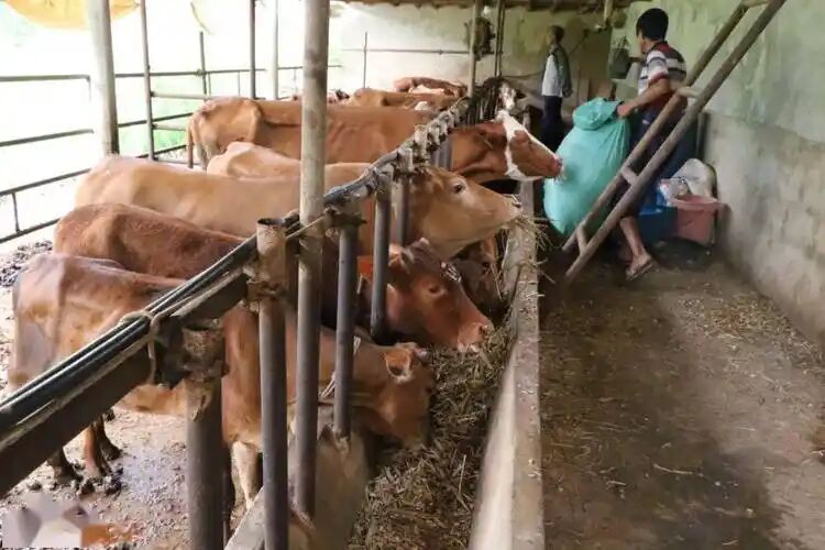 f3f64fc5f74c3465ed7ad379f2563ade.jpg f3f64fc5f74c3465ed7ad379f2563ade.jpg