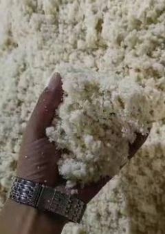 截图20260122092316.png 截图20260122092316.png