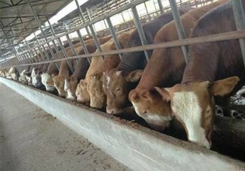 截图20260122093248.png 截图20260122093248.png