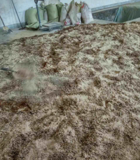 截图20260124092744.png 截图20260124092744.png