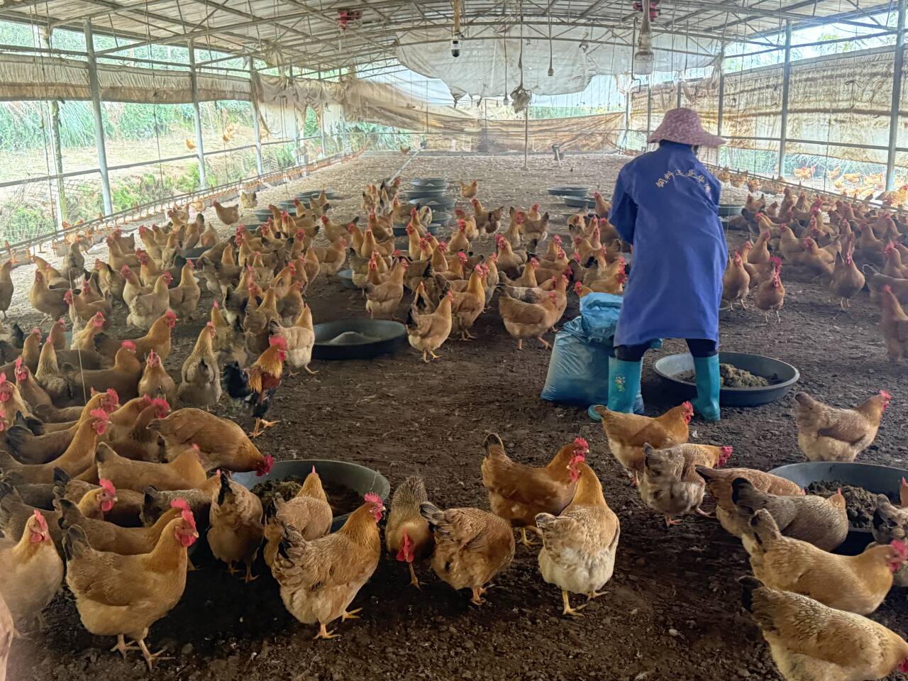 3ffd4b7ff6658cee4ab42745a4d0e88e_720.jpg 3ffd4b7ff6658cee4ab42745a4d0e88e_720.jpg