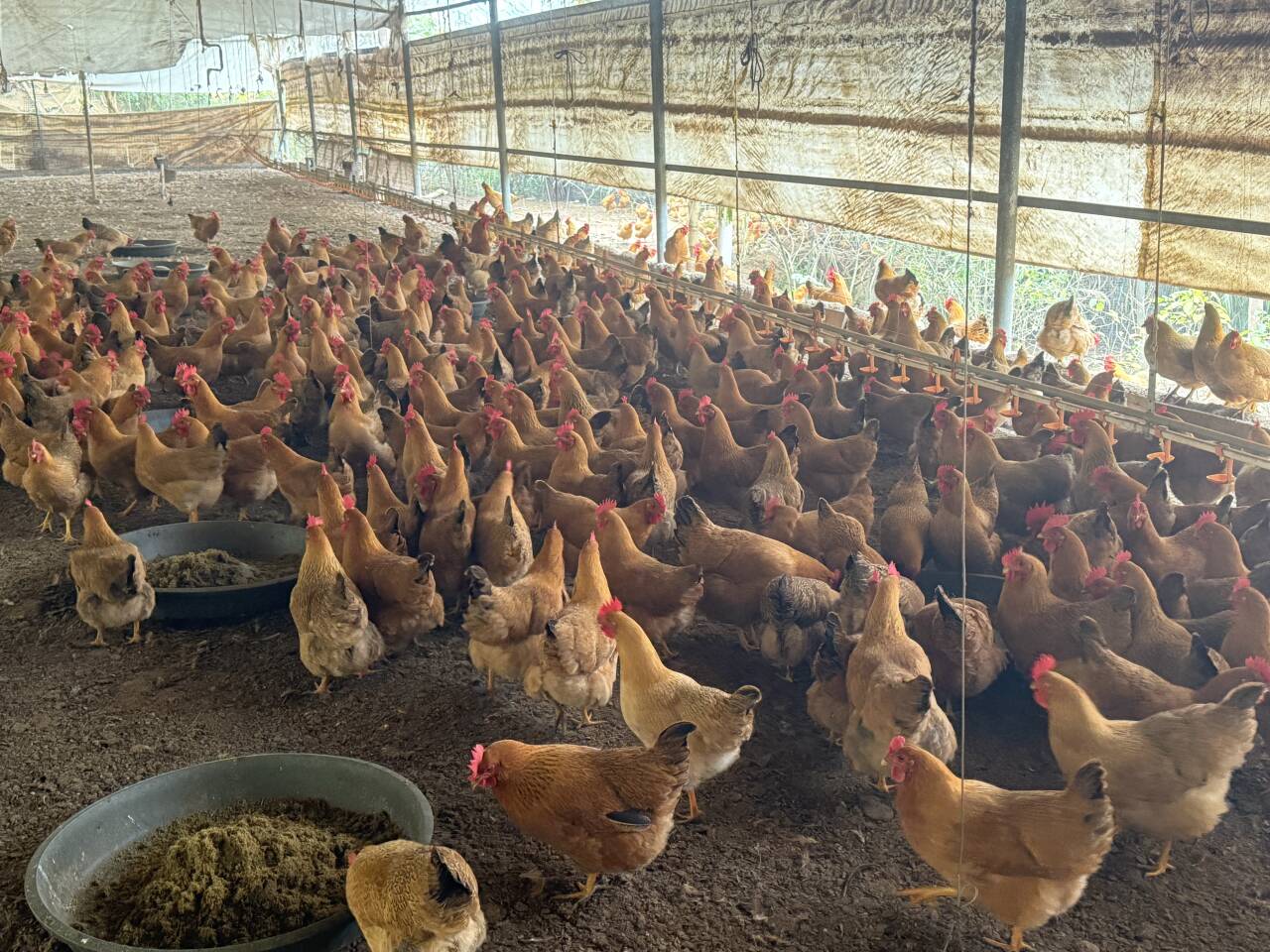 f4af17b9a93384e6d08cc8b005ffdcf5_720.jpg f4af17b9a93384e6d08cc8b005ffdcf5_720.jpg