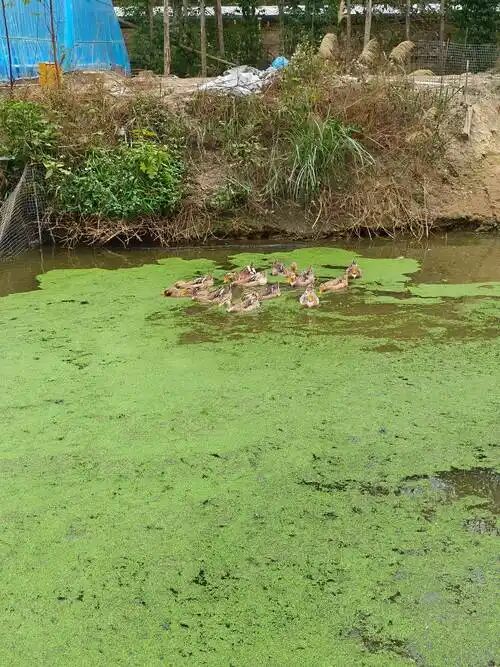 1412ef5752805b3b6fce93e8fb1b2ed9.jpg 1412ef5752805b3b6fce93e8fb1b2ed9.jpg