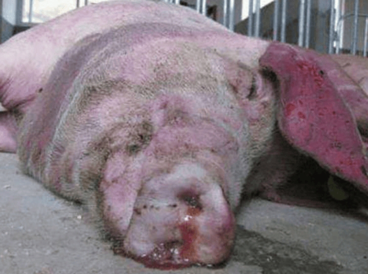 微信截图_20260203093456.jpg 微信截图_20260203093456.jpg