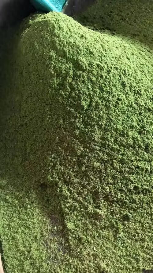 2f27ddc224d226437665361f4053219c_720.jpg 2f27ddc224d226437665361f4053219c_720.jpg