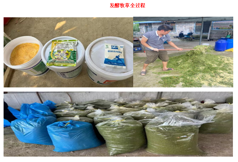 1b133d4235feeef401a84c49a14b466f.png 1b133d4235feeef401a84c49a14b466f.png