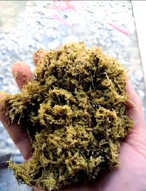 53166ac65ed3b2dae9af46d49e253bd4.jpg 53166ac65ed3b2dae9af46d49e253bd4.jpg