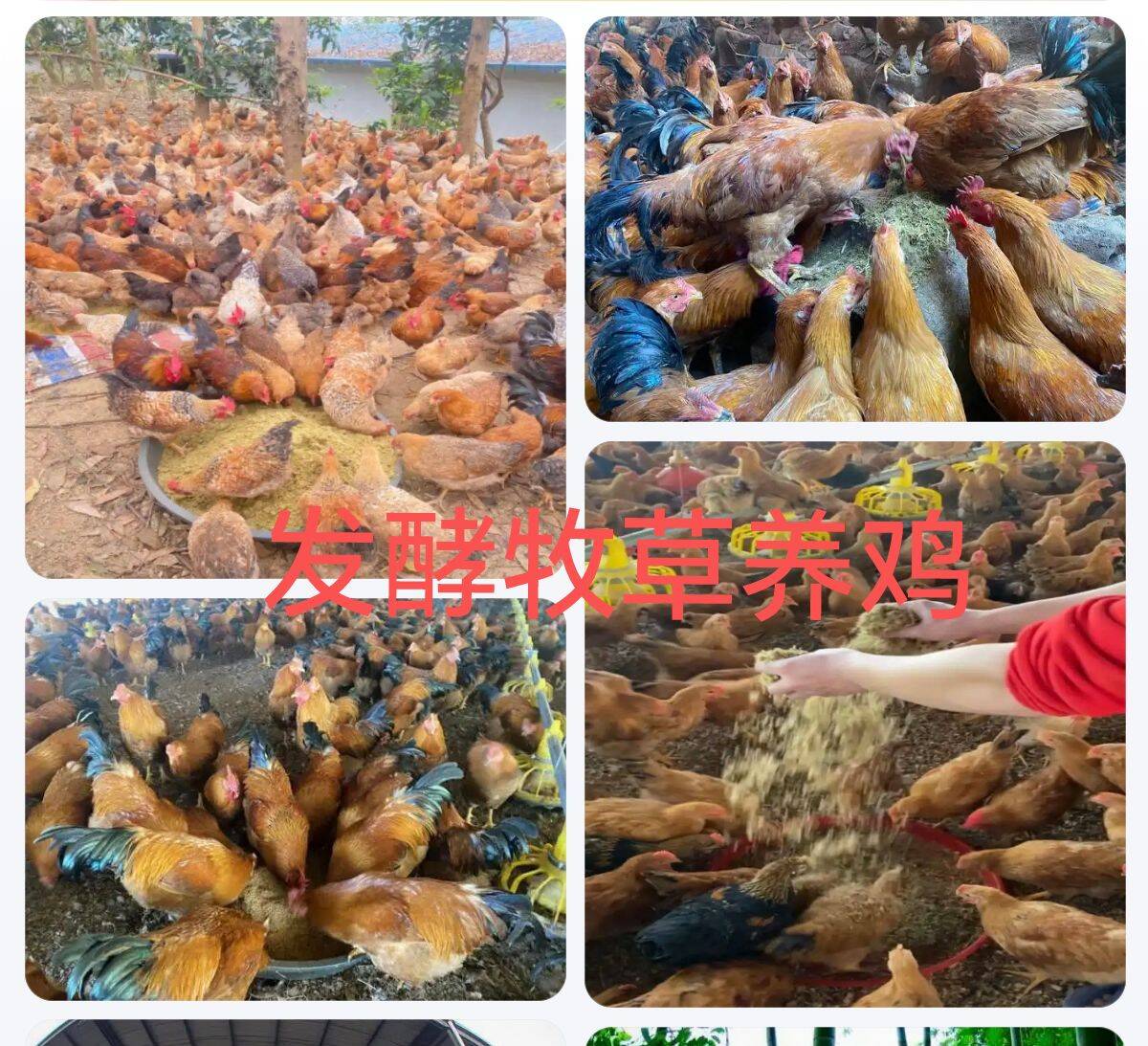 1dd651e09d2e717c91b873417586d667_720.jpg 1dd651e09d2e717c91b873417586d667_720.jpg