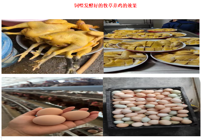 4db3ae99a5cc8c7ff9a4070dff64f4a7.png 4db3ae99a5cc8c7ff9a4070dff64f4a7.png