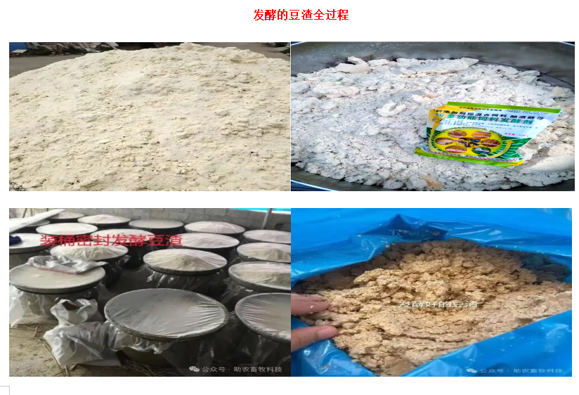 2baa8508243829cd511570e1703e6613.png 2baa8508243829cd511570e1703e6613.png