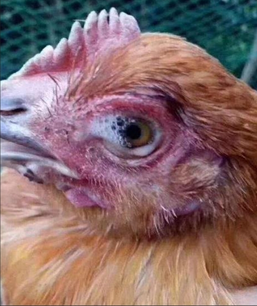 微信截图_20260302101954.jpg 微信截图_20260302101954.jpg