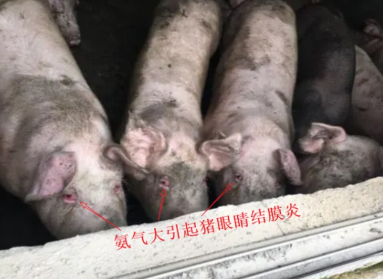 微信截图_20260303104753.jpg 微信截图_20260303104753.jpg