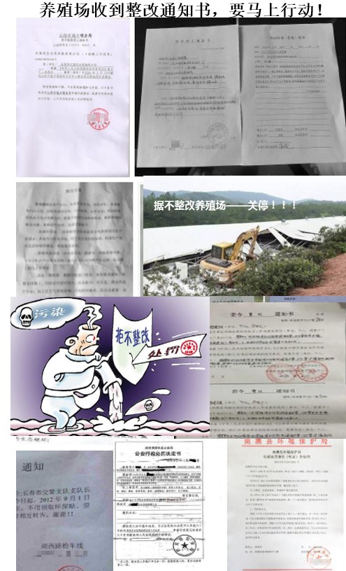养殖场收到环保整改通知书.jpg