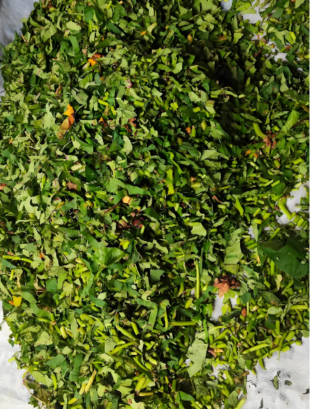 a3d0e7e4-3e77-4c08-933a-82aa728312fa.png a3d0e7e4-3e77-4c08-933a-82aa728312fa.png