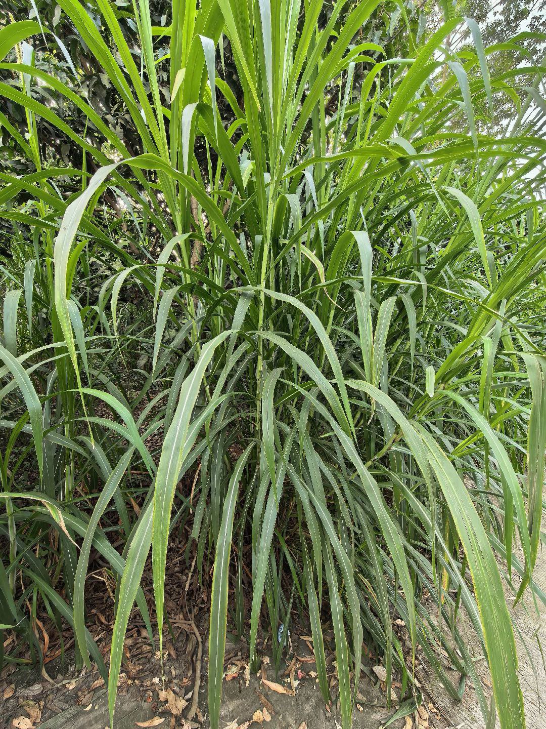 QQ图片20260306143429.jpg QQ图片20260306143429.jpg