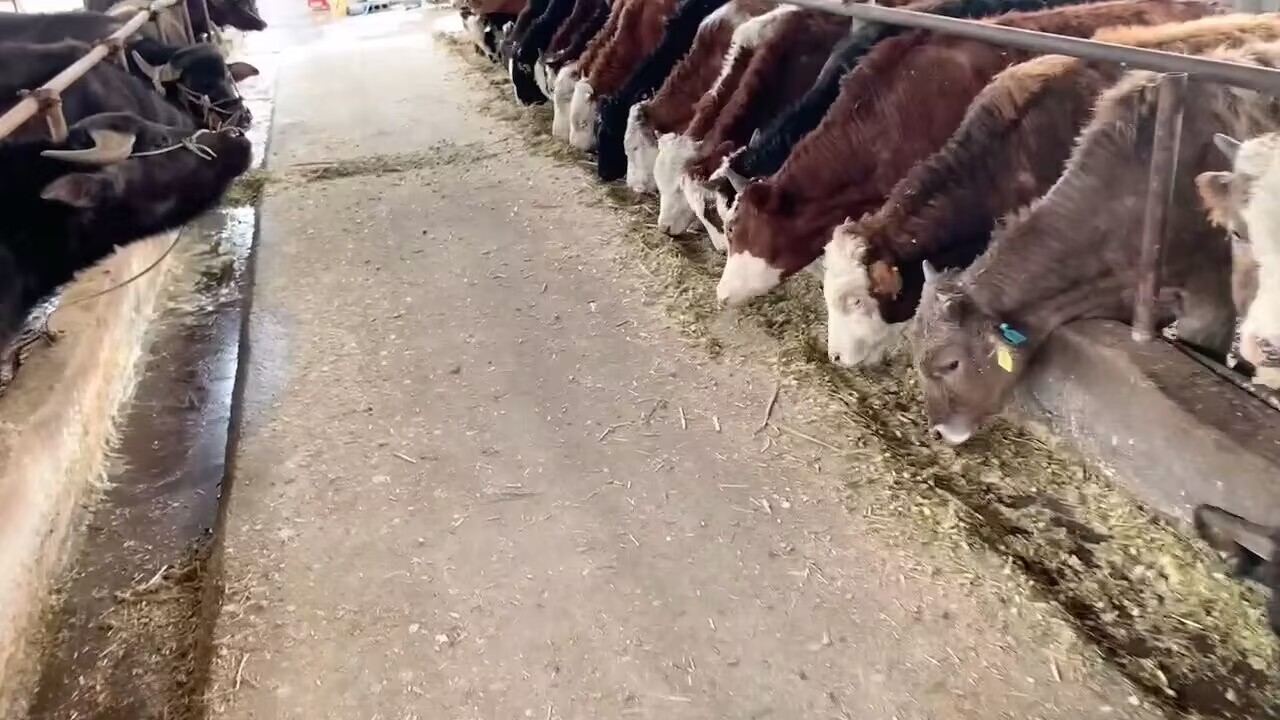 QQ图片20230318131712.jpg【3】.jpg QQ图片20230318131712.jpg【3】.jpg